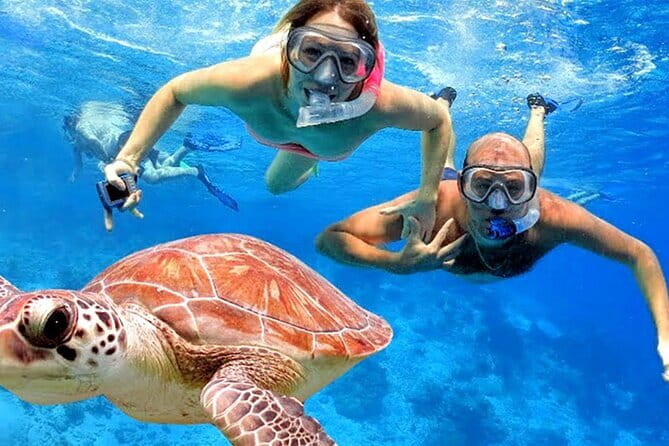 Blue Lagoon Snorkeling with Lunch and Private Transport - Tanjung Jepun by traditional boat: the chance for turtles and reef sharks