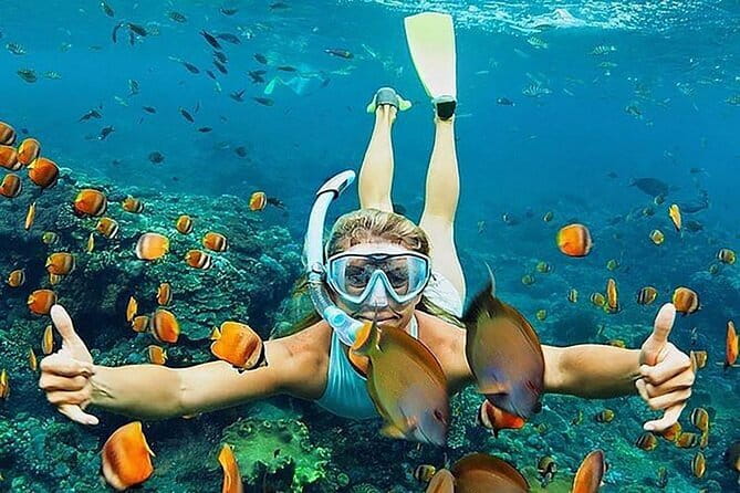 Blue Lagoon Snorkeling with Lunch and Waterfall in Ubud - A Private, Air-Conditioned Getaway From Seminyak