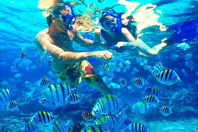 Blue Lagoon Snorkeling with Lunch and Waterfall in Ubud - Tegenungan Waterfall Break: Photos, Walking, and a Change of Pace