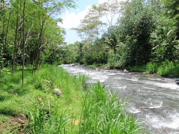 BMW Bali Rafting + Flying Fox at Telaga Waja River (LESS STAIRS) - Key Things That Make This Tour Feel Worth It