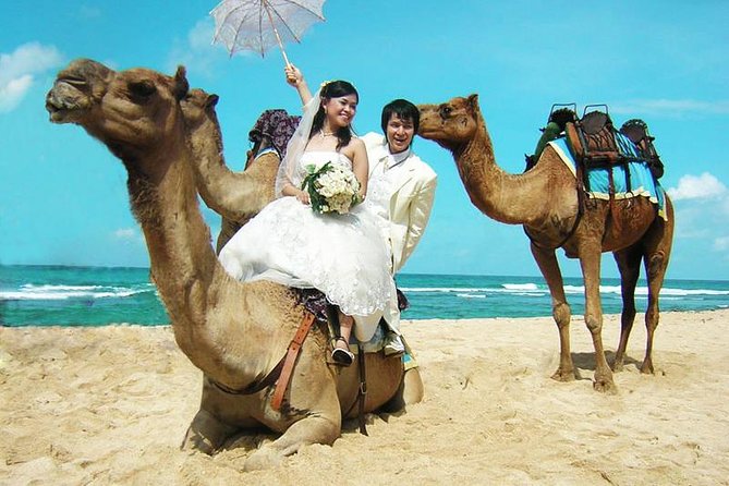 Camel Safari 30 minutes In White Sand Beach - Key Points to Know Before You Go