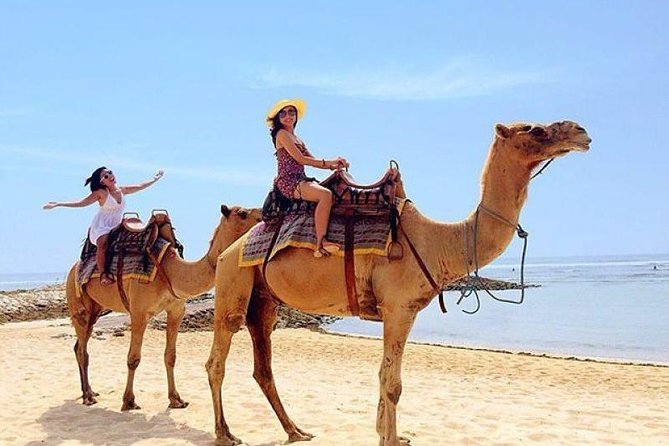 Camel Safari 30 minutes In White Sand Beach - Why Sawangan Beach Makes This Camel Safari Feel Worth It