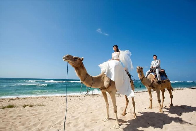 Camel Safari 30 minutes In White Sand Beach - Photo Time: How to Get the Best Pictures Without Feeling Rushed
