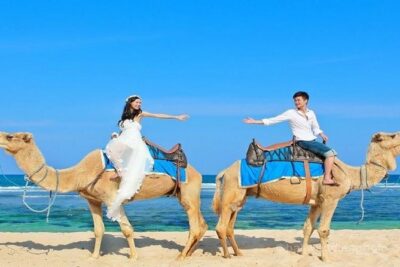 Camel Safari 30 minutes In White Sand Beach - Private Transfers From South Bali: The Smooth Part You’ll Appreciate
