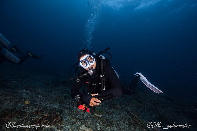 Certified Scuba Dive with Manta Rays (Open Water Diver minimum) - Manta Point and Crystal Bay: why this pairing works