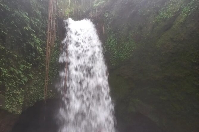CRETYA Ubud infinity Pool + Hidden Water fall + Water Temple Tour - Mas Carving Center: Wood, Jewelry, and a Real Creative Stop