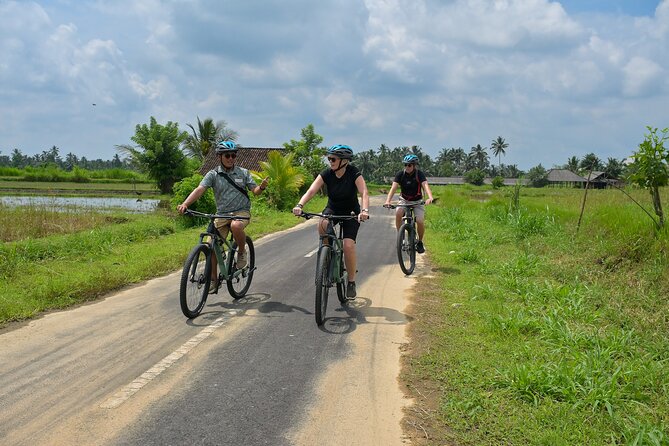 Cycling and Cooking Class in Ubud - Who this tour suits best (and who might prefer something else)