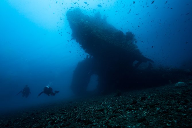 Day Trip certified divers - 3 Dives in Tulamben (pick-up & drop-off included) - USS Liberty wreck day: why Tulamben is worth the trip