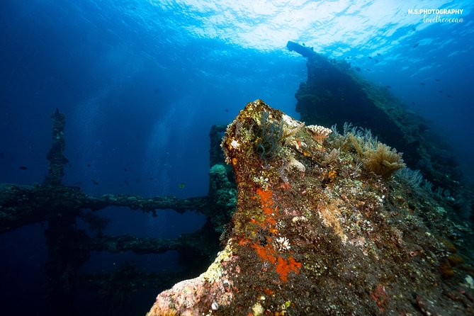 Day Trip certified divers - 3 Dives in Tulamben (pick-up & drop-off included) - USS Liberty, Coral Gardens, and the Tulamben Drop Off: what you’re likely to see
