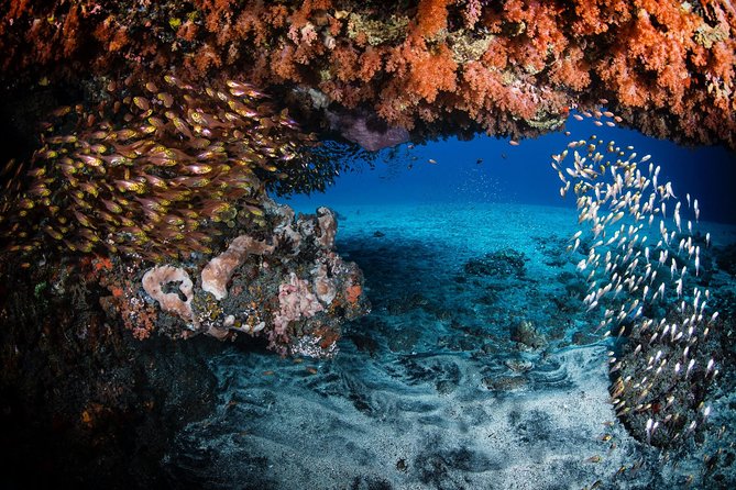 Day Trip certified divers - 3 Dives in Tulamben (pick-up & drop-off included) - Private instructor support: what “refresher” really helps with