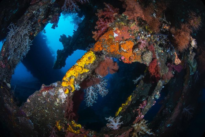 Day Trip certified divers - 3 Dives in Tulamben (pick-up & drop-off included) - Lunch in Tulamben: fueled for the second and third sessions
