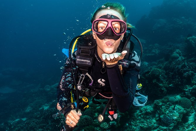 Day Trip certified divers - 3 Dives in Tulamben (pick-up & drop-off included) - Getting to Tulamben from Kuta: timing and traffic reality