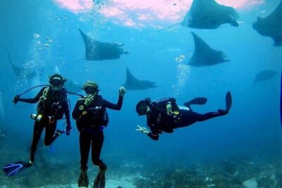 Day Trip Discover Scuba dive in Nusa Penida 2 dives (From Sanur - South Bali) - Pool training first: what you learn and why it helps