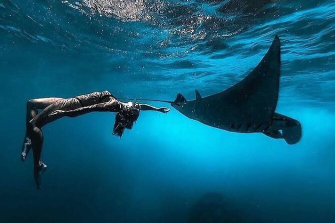 Day Trip: Nusa Penida Snorkling - Key highlights at a glance