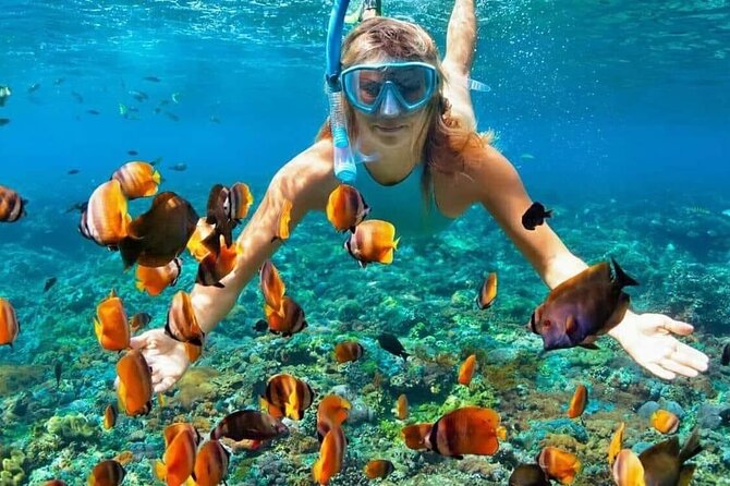 Day Trip: Nusa Penida Snorkling - Kelingking Beach T-Rex View: Worth the Steps, But Don’t Underestimate Them