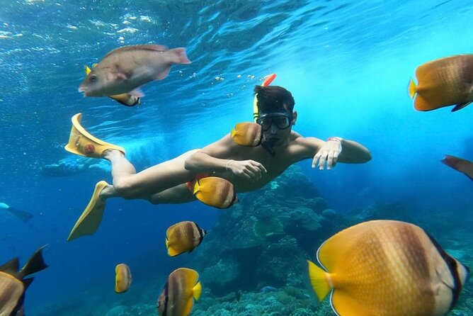 Day Trip: Nusa Penida Snorkling - Broken Beach and Angel’s Billabong: One Hour of Ocean-Made Drama