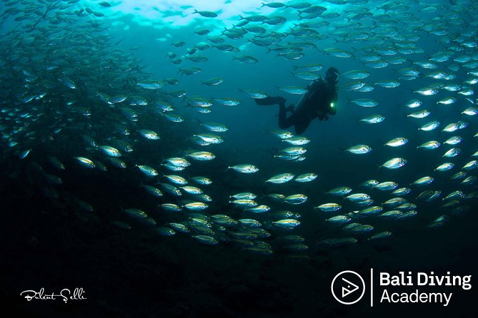Day Trip Snorkeling in Tulamben - Explore Liberty Wreck (pick up in South Bali) - Tulamben’s USAT Liberty wreck: why this spot works for snorkelers