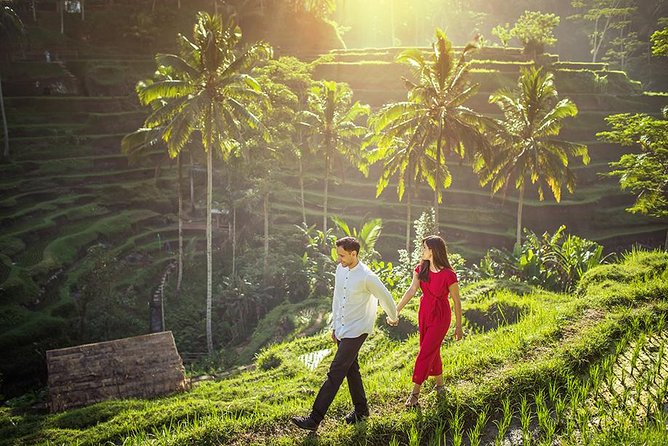 Day Trip: Ubud Monkey Forest, Rice Terrace, Temple and Waterfall - Tegalalang Rice Terrace: the classic terraced view, plus the story