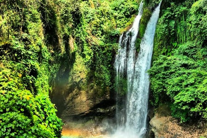 Design Your Own Bali Tour - Picking your own stops: shopping, rice terraces, spas, and Ubud-style days