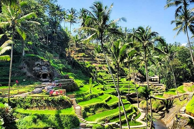 Design Your Own Bali Tour - Airport start/end vs hotel pickup: where you’ll meet