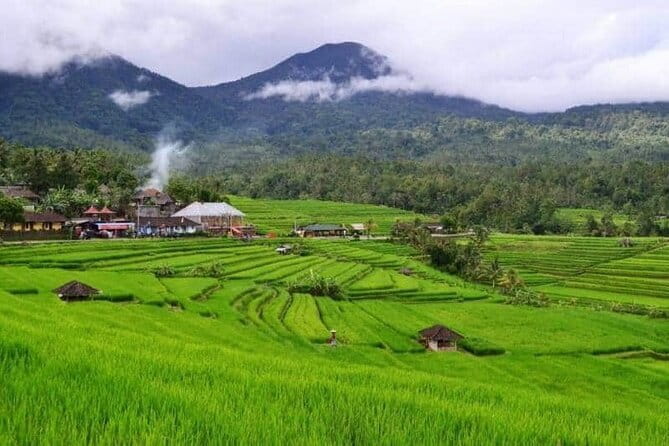 Discover Bali : Shore Excursion from Benoa Port with Free Wi-Fi - Transport, timing, and the traffic reality
