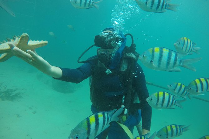 Discover Scuba Diving ( beginners) Combined With Jet Ski - How the Day Flows: Pickup, Safety Talk, and Your First Underwater Breath