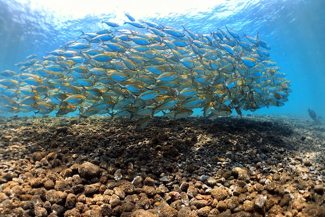 Discover Scuba Diving Tulamben Bali For Non-Certified Divers - Why Tulamben’s USAT Liberty Shipwreck Works for First-Time Scuba