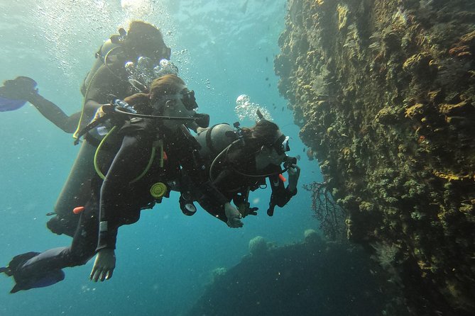Discover Scuba Diving Tulamben Bali For Non-Certified Divers - What You’ll See: Corals, Sea Fans, Barrel Sponges, and Possibly a Turtle