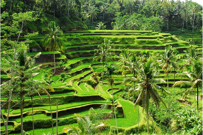 Discover Ubud: 2 Days Ubud Private Tour - Why This Private 2-Day Ubud Plan Works