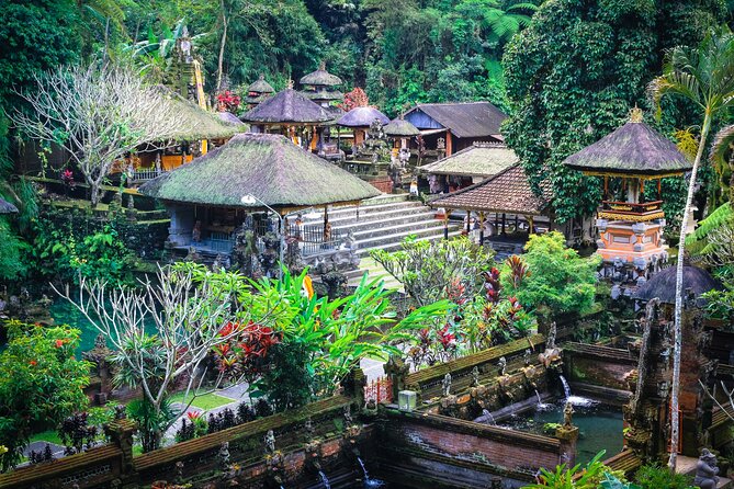 Discover Ubud: 2 Days Ubud Private Tour - Lunch With Jungle Swing at D Alas Warung