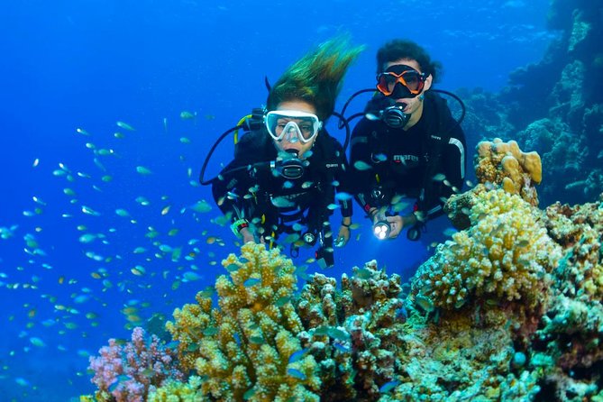Dive at Tulamben Bali USS Liberty Ship Wreck - USS Liberty wreck: what you’ll see on the metal hull