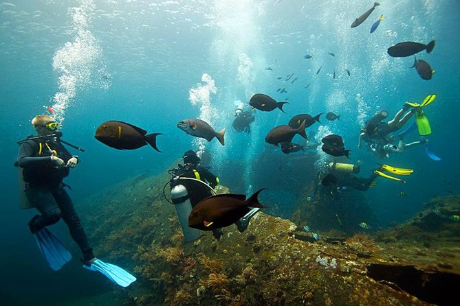 Dive at Tulamben Bali USS Liberty Ship Wreck - Two underwater sessions: why “one and done” isn’t the same here