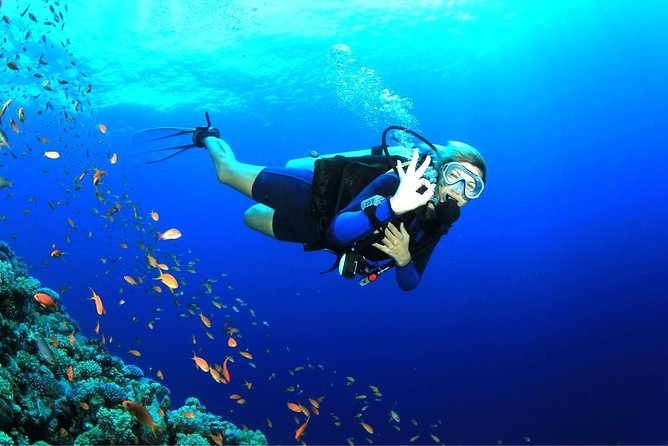 Dive at Tulamben Bali USS Liberty Ship Wreck - Who this tour suits best