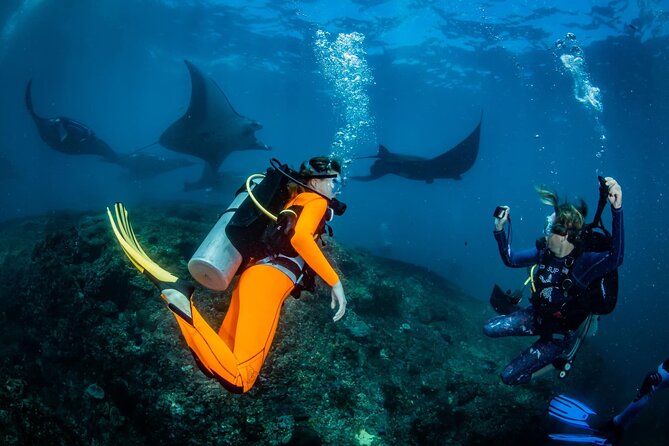 Diving in Nusa Penida - Key highlights in plain terms