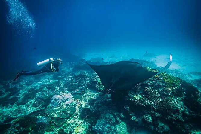 Diving in Nusa Penida - Intro scuba without a certificate: what you should expect