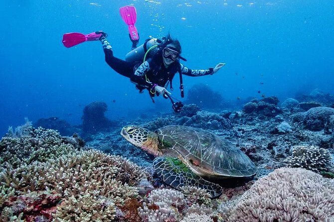 Diving with Manta Ray at Nusa Penida - Getting In the Water: Equipment, Captain, and Instructor Setup