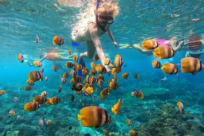 Explore 4 iconic snorkeling spots of Manta Bay in Nusa Penida - Quick hits before you go