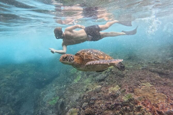 Explore 4 iconic snorkeling spots of Manta Bay in Nusa Penida - Stop 2: flying fish and a photo-friendly swim