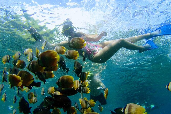 Explore 4 iconic snorkeling spots of Manta Bay in Nusa Penida - Stop 3: coral reefs below, plus a turtle pass chance