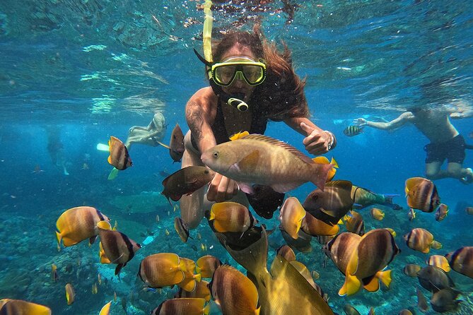 Explore 4 iconic snorkeling spots of Manta Bay in Nusa Penida - Stop 4 at Wall Bay: blood-red corals, deep walls, and tons of fish