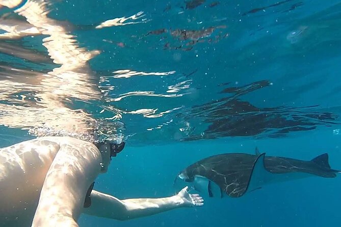 Explore 4 iconic snorkeling spots of Manta Bay in Nusa Penida - Timing and boat handling: the part to take seriously