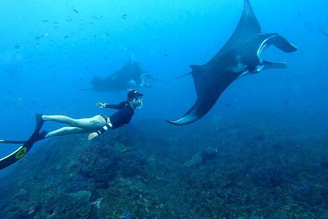 Explore 4 iconic snorkeling spots of Manta Bay in Nusa Penida - GoPro photos and videos: the value beyond the reefs