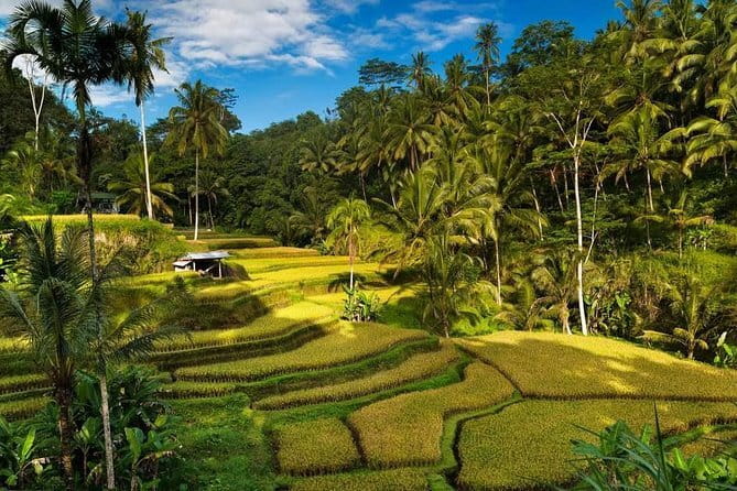 Exploring Bali in 3 Days: Discover Top Places in Bali - Key highlights at a glance