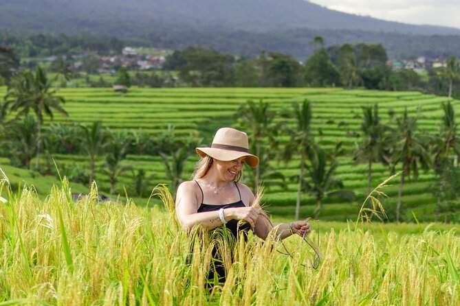 Exquisite UNESCO World Heritage Sites in Bali - Transportation, comfort, and what to bring