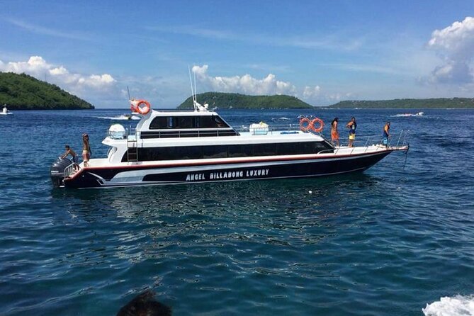 Fast Boat Transfer: Sanur to Nusa Penida by Penidago - Arriving at Nusa Penida When the Harbor Area Is Still Changing