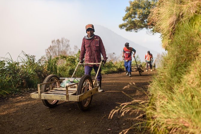 From Bali : Bromo & Kawah Ijen – 3-Day Adventure - How much is it really worth?