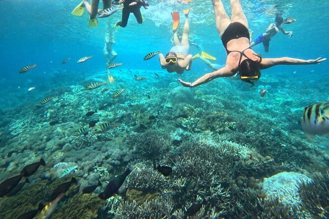 From Bali: Nusa Penida Full Day Tour and Snorkeling - Broken Beach and Angel’s Billabong: When the Rocks Do the Styling