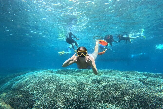 From Bali: Nusa Penida Full Day Tour and Snorkeling - Fast Boat From Bali and How the Timing Works