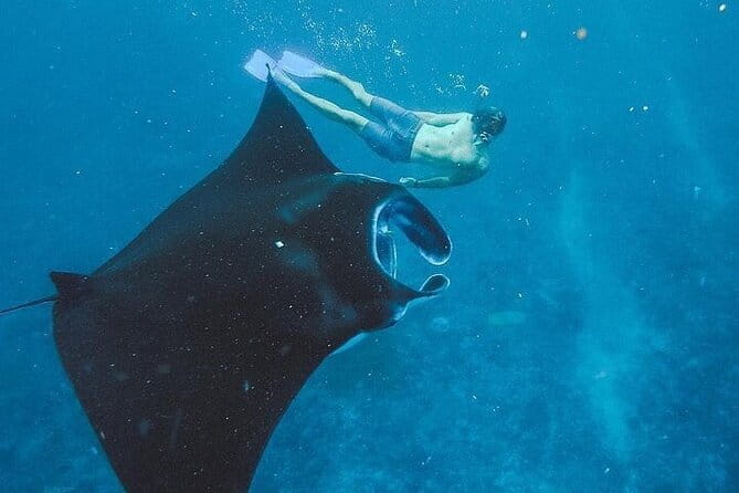 From Bali: Nusa Penida Snorkeling and Island Tour - Key things I’d plan around