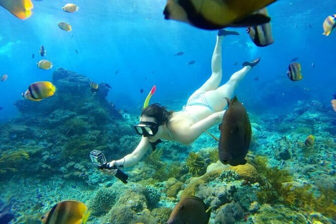 From Bali: Nusa Penida Snorkeling and Island Tour - Why Nusa Penida makes sense as a one-day snorkeling trip